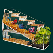 acrylic betta fish tank, view 3 - MRSLM