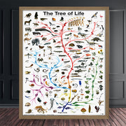 evolution tree of life canvas poster - MRSLM