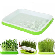 microgreens sprouting tray - MRSLM