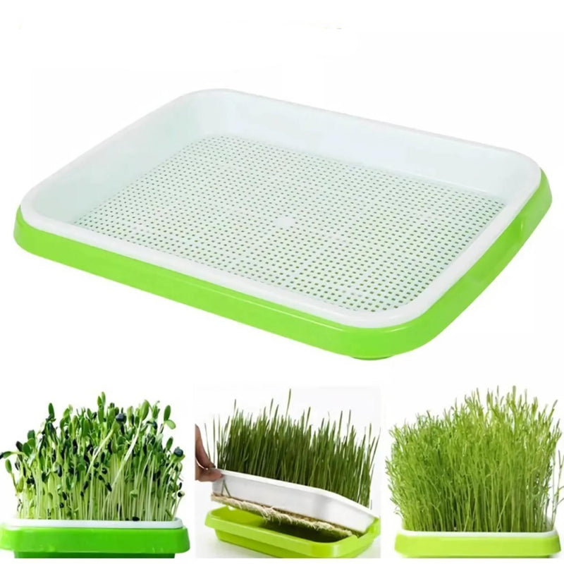microgreens sprouting tray - MRSLM