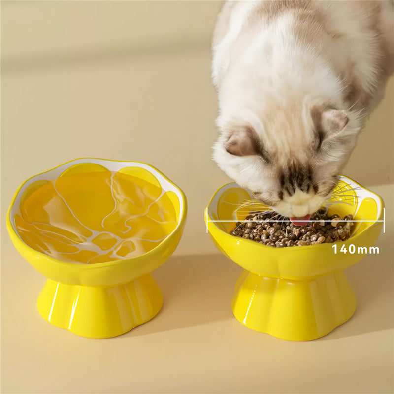 raised ceramic pet bowl, view 9 - MRSLM