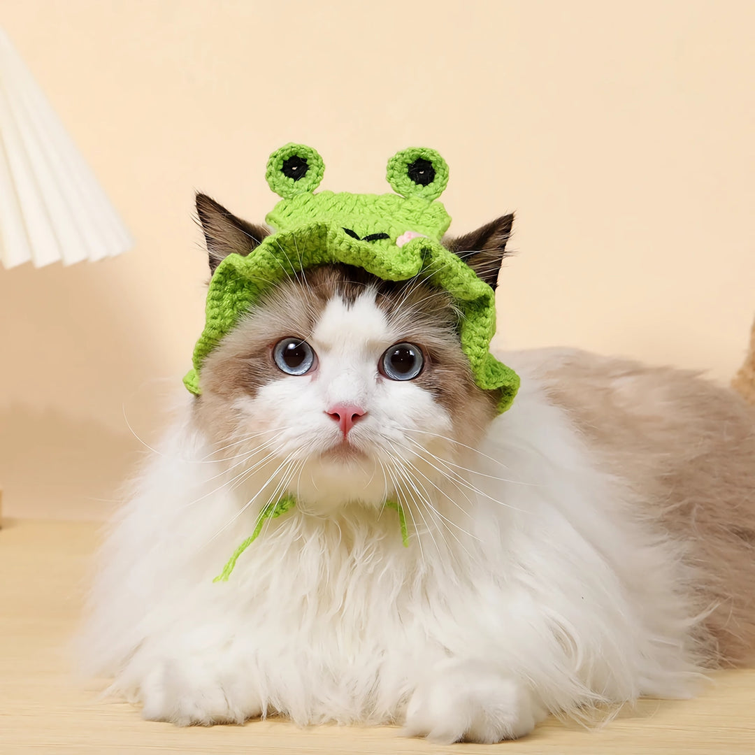 Cute Knitted Hat for Cats