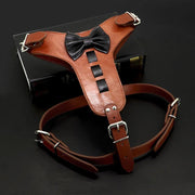 genuine leather dog harness with bowknot - MRSLM