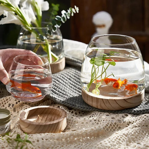 round glass desktop fish tank - MRSLM