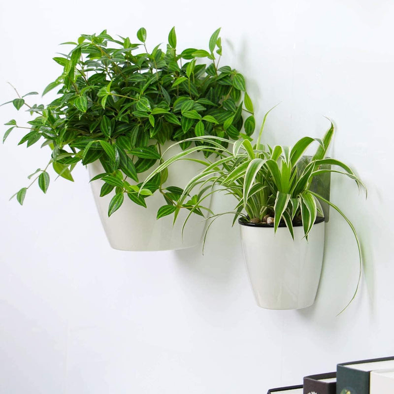 wall-mounted hydroponic flowerpot, view 5 - MRSLM