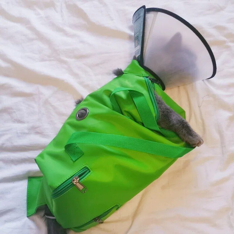 pet sling backpack, view 9 - MRSLM