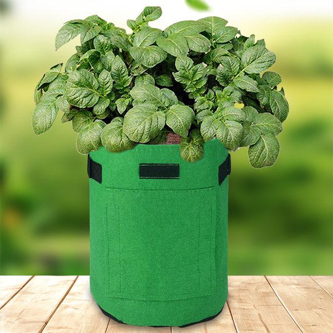 felt plant grow bags - MRSLM