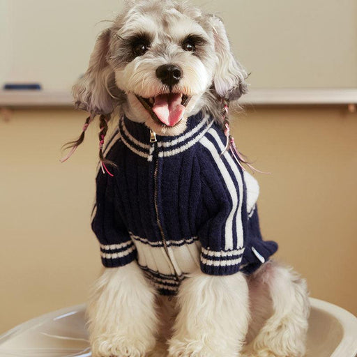 zipper pet cardigan - MRSLM