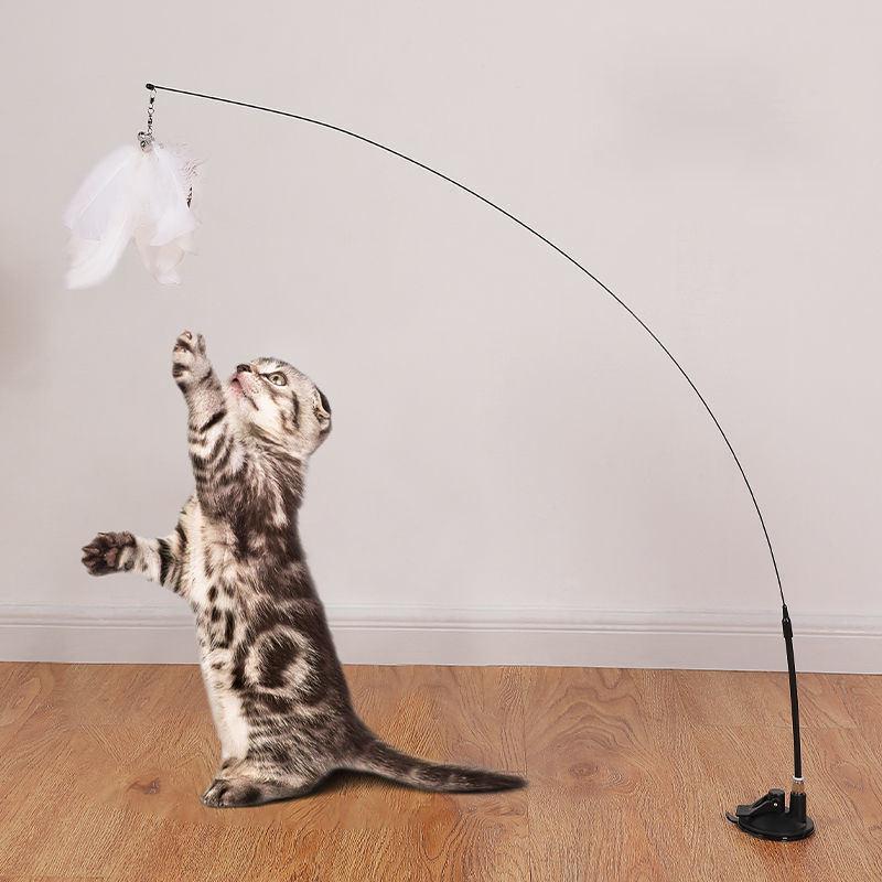 interactive cat toy - MRSLM