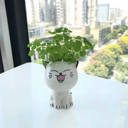 cat ceramic plant pot, view 2 - MRSLM