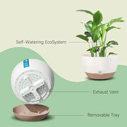 hanging flower pot set, view 5 - MRSLM
