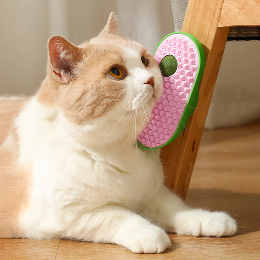 cat grooming brush with catnip - MRSLM