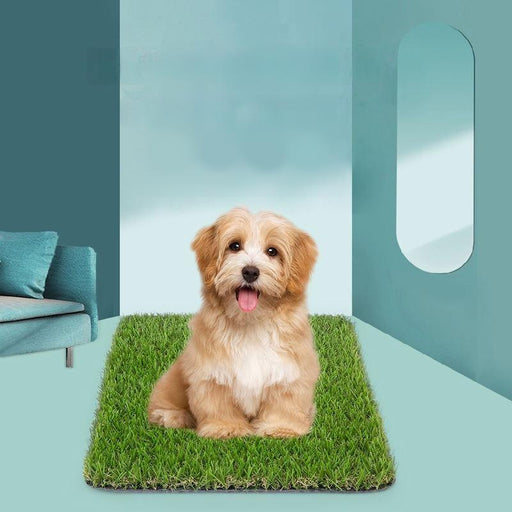 simulation lawn mat for pets - MRSLM