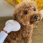 pet hair dryer comb brush, view 8 - MRSLM