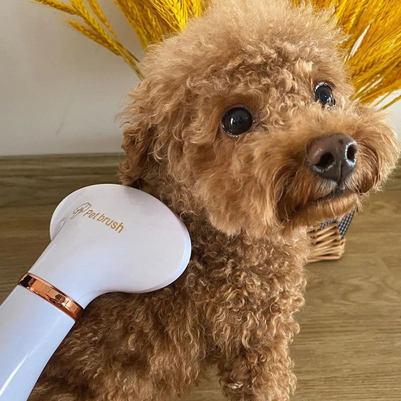 pet hair dryer comb brush, view 8 - MRSLM