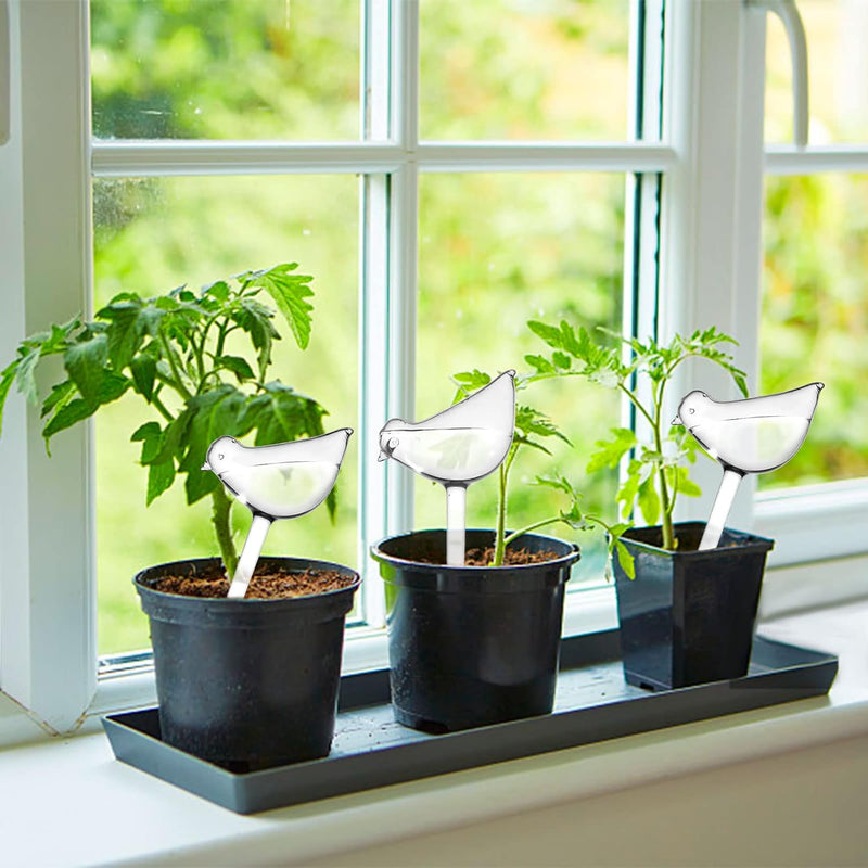 automatic self-watering globe, view 4 - MRSLM