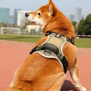 adjustable reflective dog harness with leash, view 5 - MRSLM