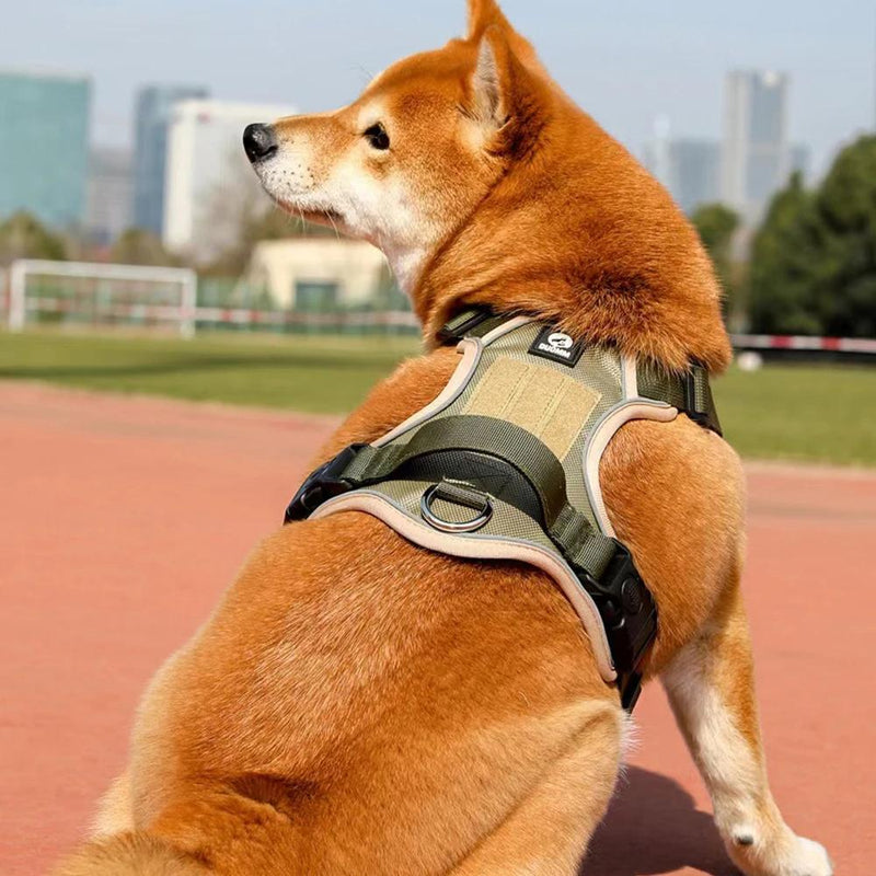 adjustable reflective dog harness with leash, view 5 - MRSLM