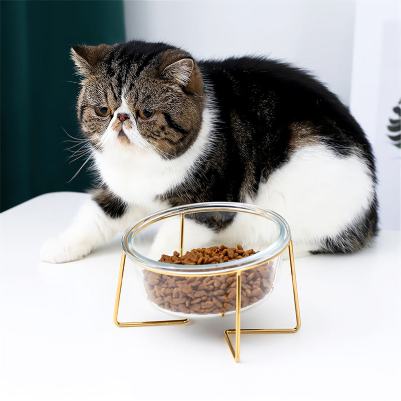 glass cat and dog bowl with gold stand, view 4 - MRSLM
