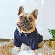 Fashion dog coat with bow tie - MRSLM