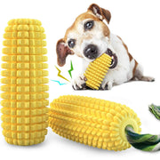 dog molar toothbrush chew toy with suction and sound, view 3 - MRSLM