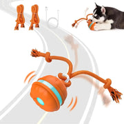 motion-activated rolling dog ball, view 2 - MRSLM