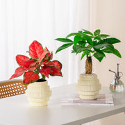 Self-watering hydroponic plant pot, view 5 - MRSLM