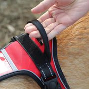 reflective dog harness and leash set, view 6 - MRSLM