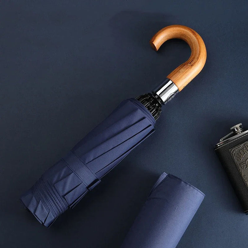 automatic windproof umbrella - MRSLM