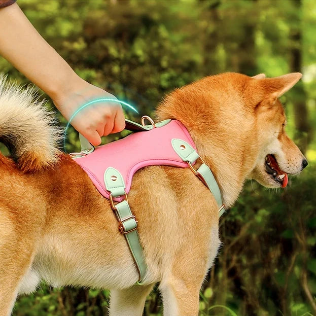 comfort fit pu leather dog harness - MRSLM
