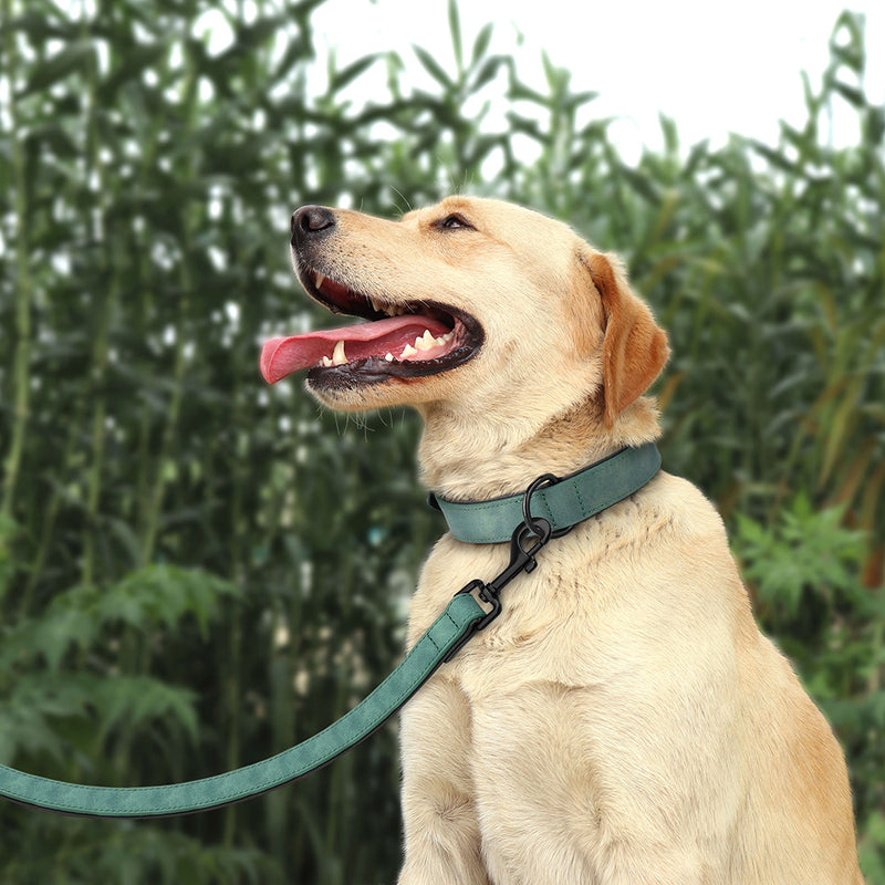 durable padded dog collar and leash set, view 8 - MRSLM