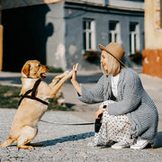 Interactive feeding toy for dogs and cats, view 8 - MRSLM