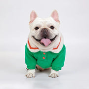 Cozy winter fleece pet hoodie, view 5 - MRSLM