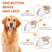 retractable dog leash, view 6 - MRSLM