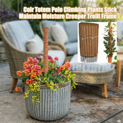 Coir moss stick for indoor plants, view 5 - MRSLM