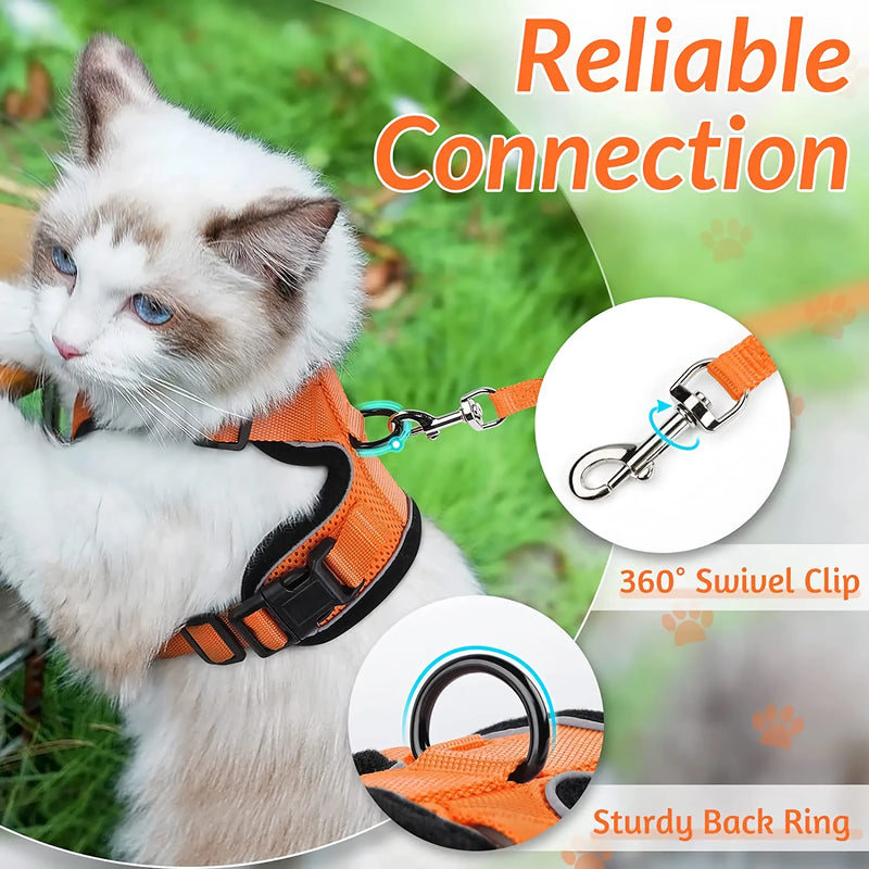 cat harness and leash, view 25 - MRSLM