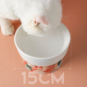 elevated ceramic cat bowl, view 11 - MRSLM