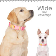printed nylon dog collar, view 9 - MRSLM