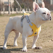 adjustable no-pull dog harness set, view 9 - MRSLM