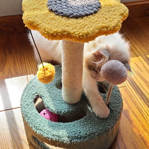 compact cat climbing frame with sisal post - MRSLM