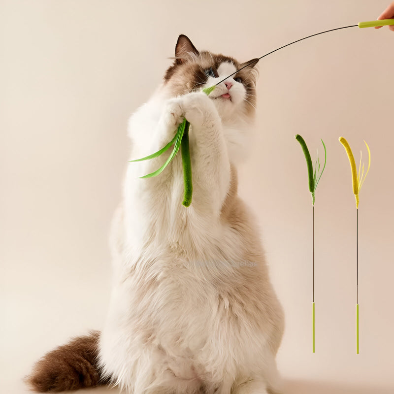 interactive feather teaser stick for cats and dogs, view 4 - MRSLM
