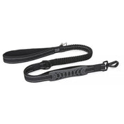 reflective nylon dog leash and seat belt, view 3 - MRSLM