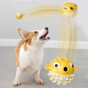 bite-resistant dog chew toy - MRSLM
