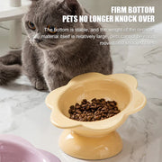 Elevated ceramic pet bowl, view 9 - MRSLM