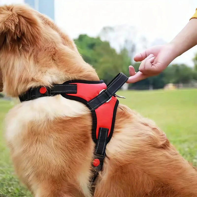 adjustable reflective dog harness vest, view 7 - MRSLM