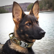 tactical dog harness - MRSLM