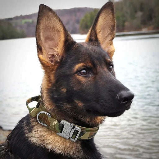 tactical dog harness - MRSLM