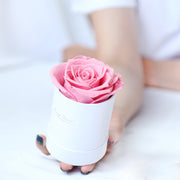 Rose gift with barrel box, view 6 - MRSLM