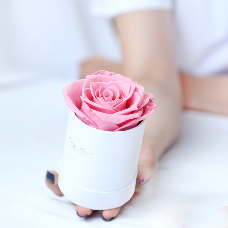 Rose gift with barrel box, view 6 - MRSLM