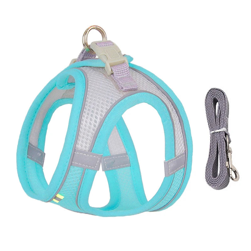 Adjustable Summer Mesh Harness and Leash Set for Small Dogs and Cats